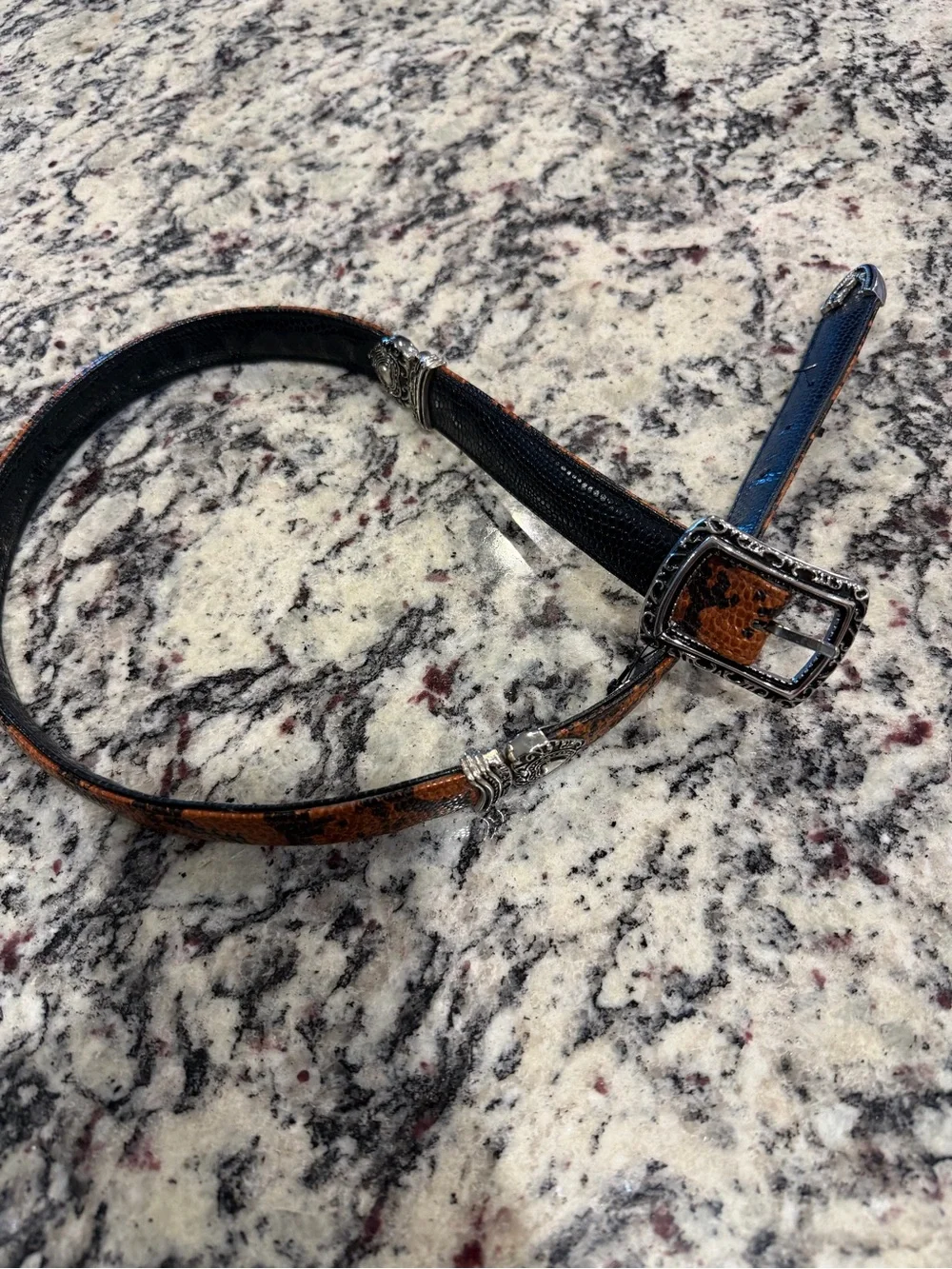 Brighton Brown and Black Kids Belt with Decorative Silver Buckle